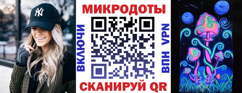 Галлюциногенные грибы Psilocybe  Трубчевск 